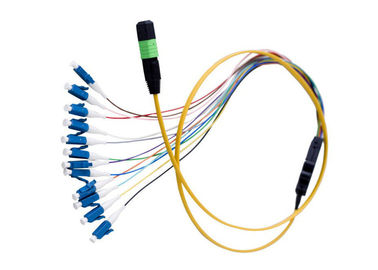 China Flat Round MPO MTP Fiber Optic Patch Cord , 12 Core Ribbon Fiber Cable OFNR Jacket supplier