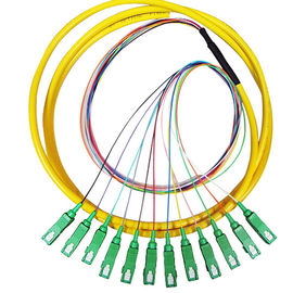 China 12 Core SC 3mm Fiber Optic Pigtail , Single Mode / Multimode Pigtail supplier